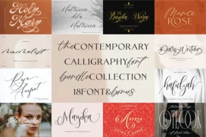 18 Contemporary Fonts Bundle