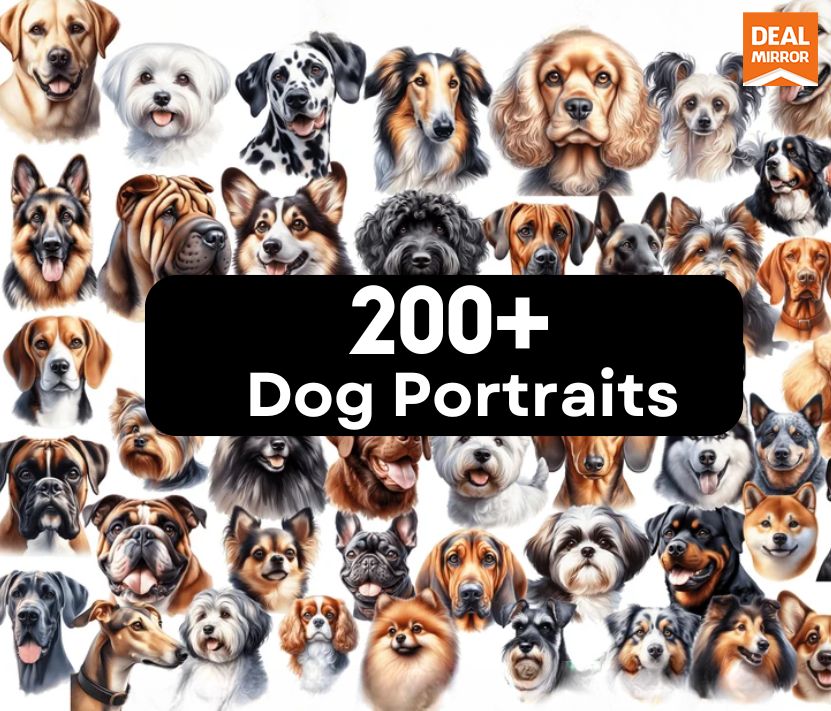 200+ Dog Portraits
