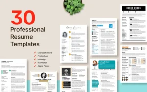 30 Professional Resume Templates
