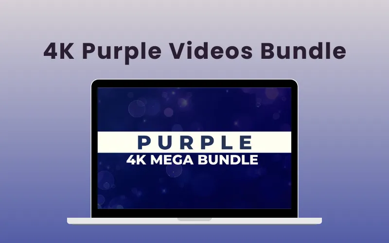 4K Purple Videos Bundle