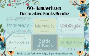 60+ Handwritten Decorative Fonts Bundle