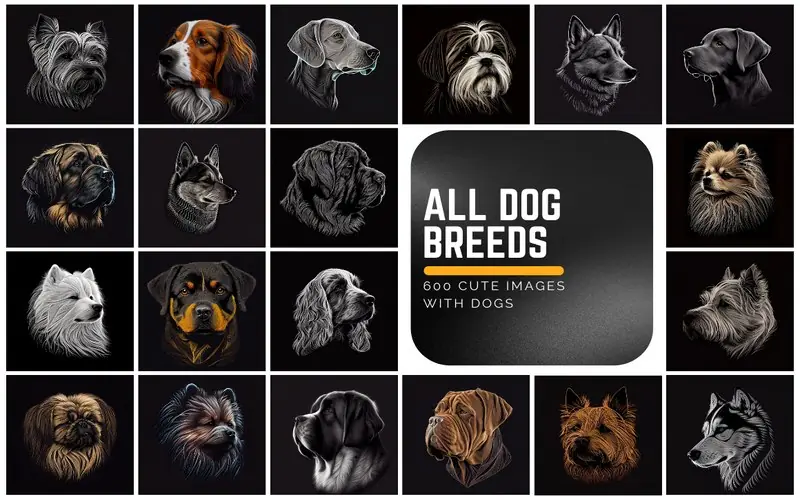 600+ Dog Images Bundle