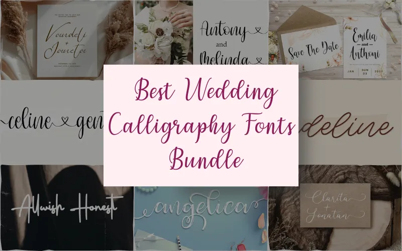 Best Wedding Calligraphy Fonts Bundle