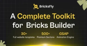 BricksFly