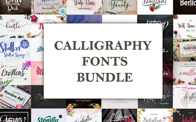 Calligraphy Fonts Bundle