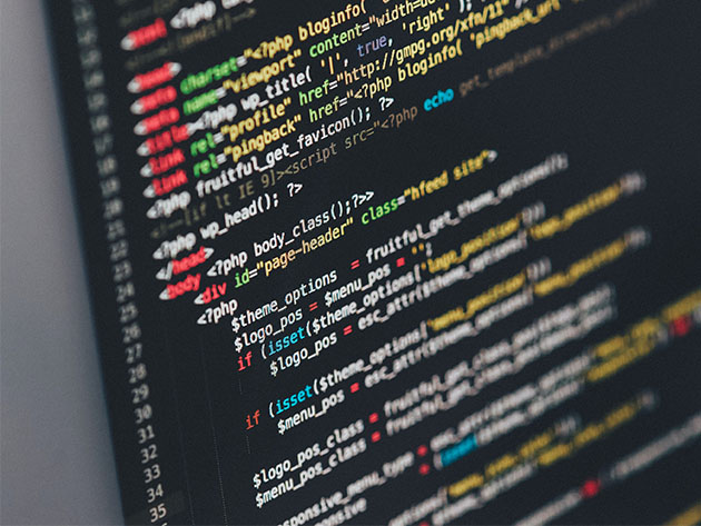 Interactive Learn to Code Bundle