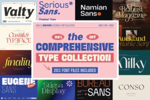 The Comprehensive Type Collection