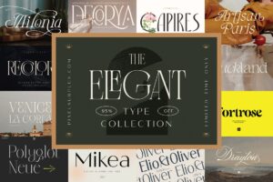The Elegant Type Collection