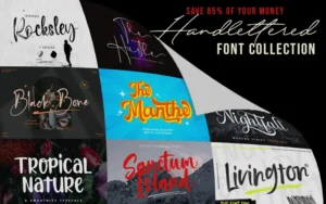 The Hand Lettered Fonts Collection