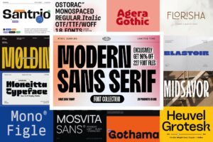 The Modern Sans Serif Type Collection