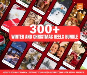 Winter and Christmas Reels Bundle